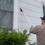 Homestead Pest Control