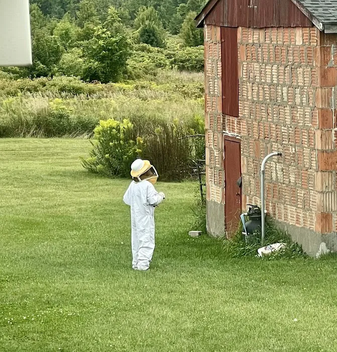 Fox Pest Control Buffalo Picture 4