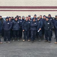 Fox Pest Control Buffalo ico