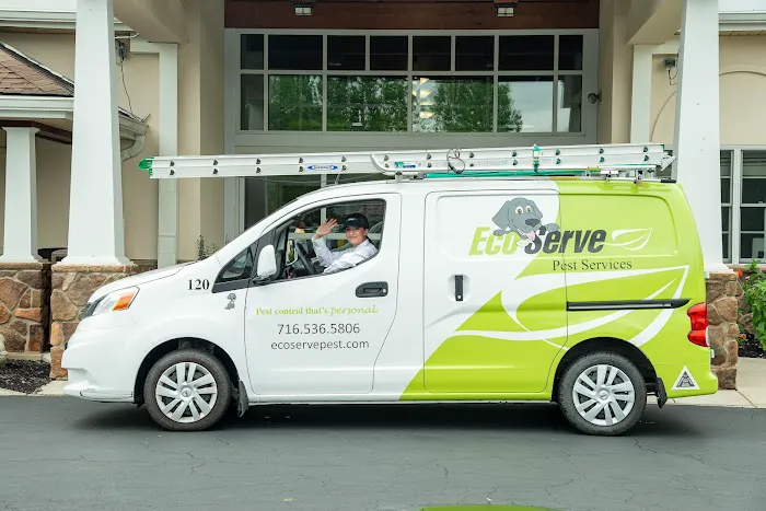 Eco Serve Pest Services Picture 3