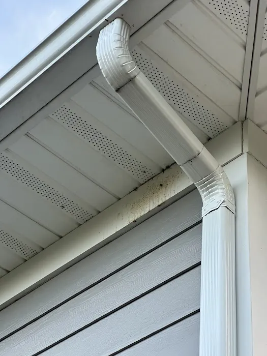 Eco Serve Pest Services Picture 6