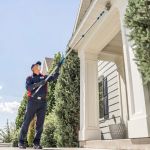Fox Pest Control Orchard Park