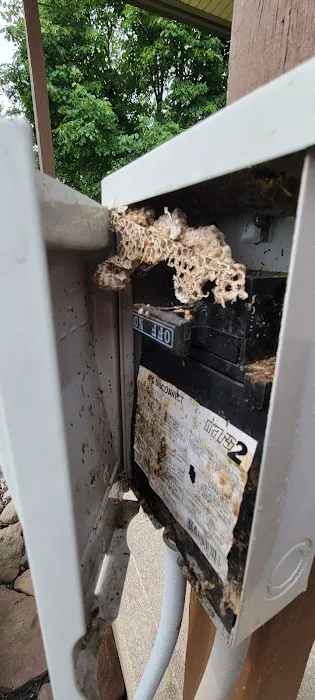 Residential and Commercial Pest Pros LLC Picture 1