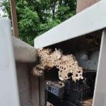 Residential and Commercial Pest Pros LLC