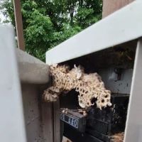 Residential and Commercial Pest Pros LLC ico