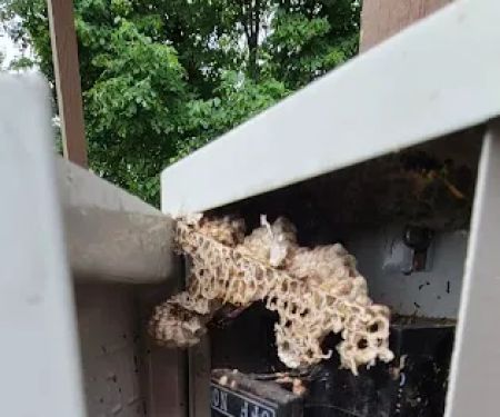 Residential and Commercial Pest Pros LLC