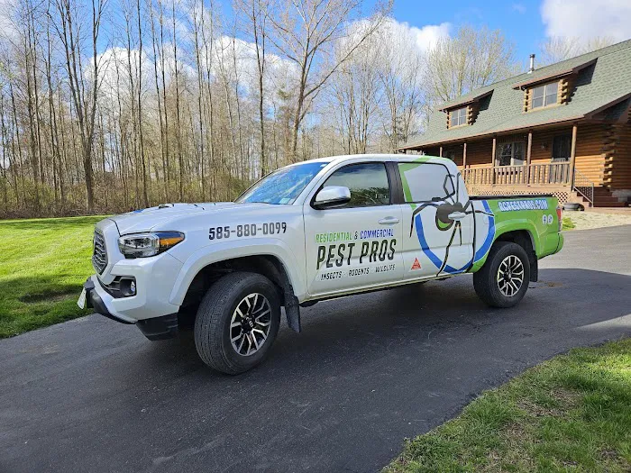 Residential and Commercial Pest Pros LLC Picture 5