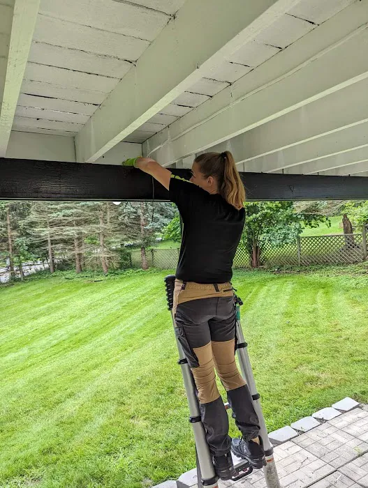 Residential and Commercial Pest Pros LLC Picture 9