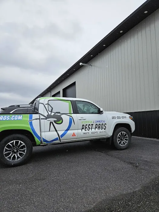 Residential and Commercial Pest Pros LLC Picture 10