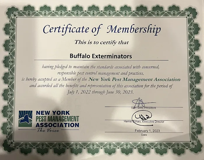 Buffalo Exterminators Picture 1