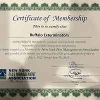 Buffalo Exterminators ico