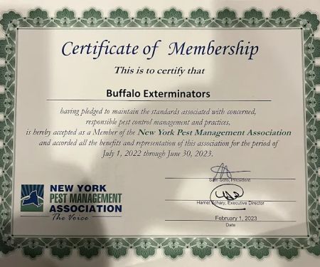 Buffalo Exterminators