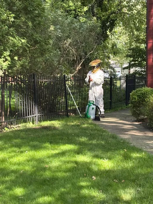 Buffalo Exterminators Picture 9