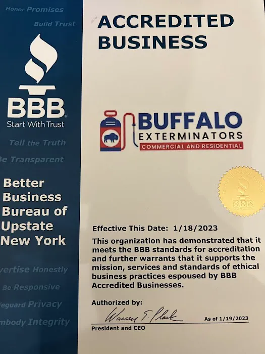 Buffalo Exterminators Picture 4