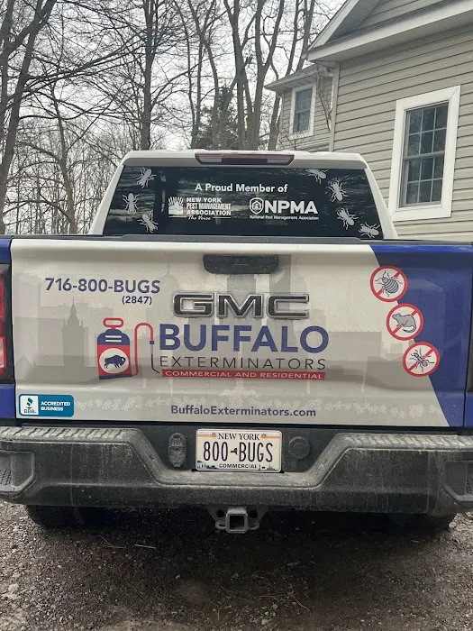 Buffalo Exterminators Picture 10