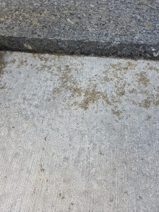 Mosquito Shield of Buffalo Picture 3
