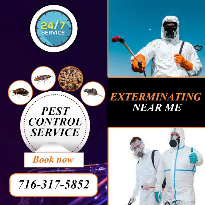 Gam Bed Bug Exterminator Orchard Park Picture 1