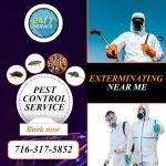 Gam Bed Bug Exterminator Orchard Park