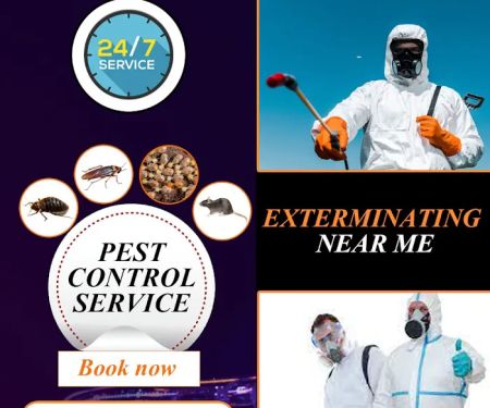 Gam Bed Bug Exterminator Orchard Park