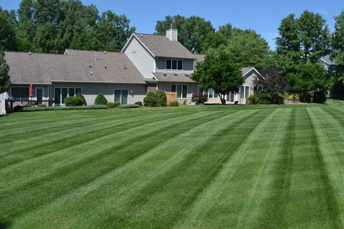 Buffalo Lawn & Pest Services Picture 2