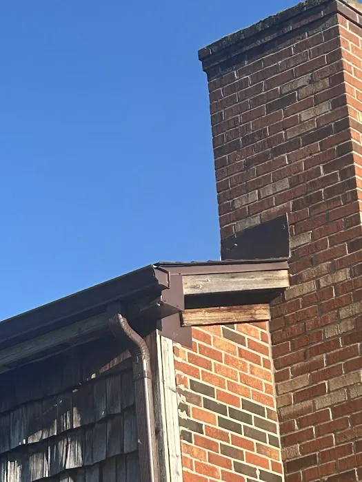 Jack's Nuisance Wildlife Removal Picture 4