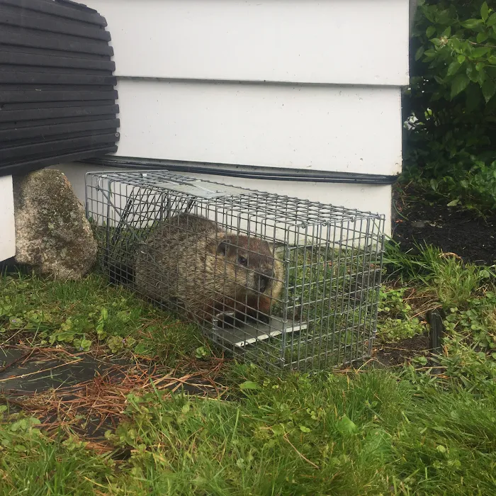 DeBow Wildlife Service Picture 7