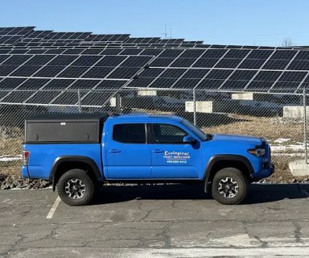 Ecological Pest Services