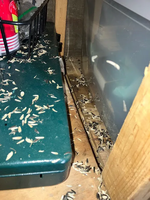 KG Pest Management Picture 9