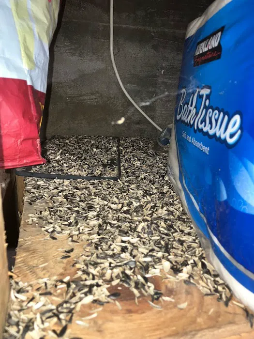 KG Pest Management Picture 5