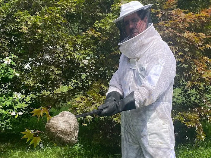 Identify Pest Control Picture 4