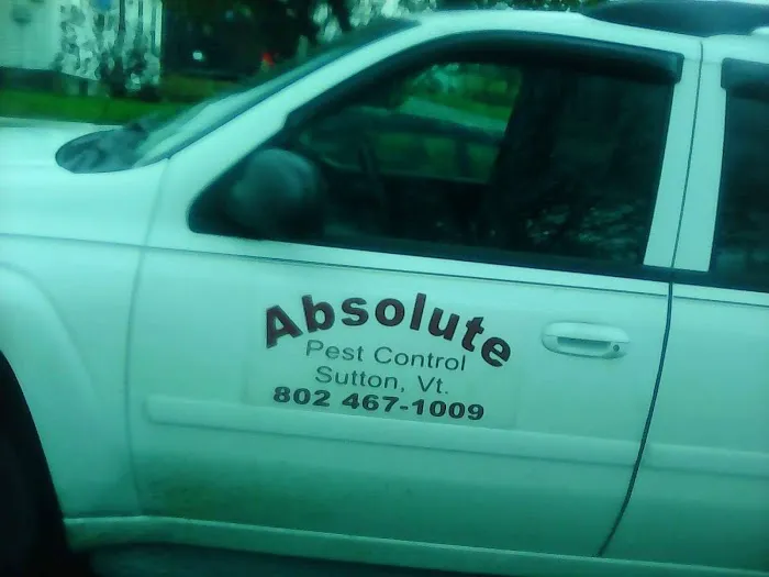 Absolute Pest Control Picture 1