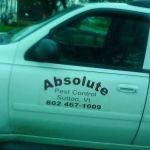 Absolute Pest Control