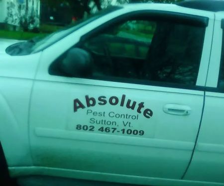 Absolute Pest Control