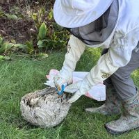 Grenier's Pest Control ico
