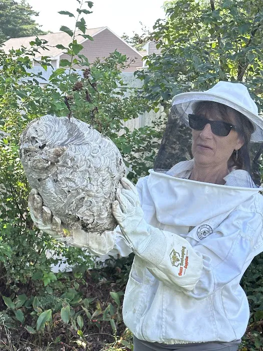Grenier's Pest Control Picture 3