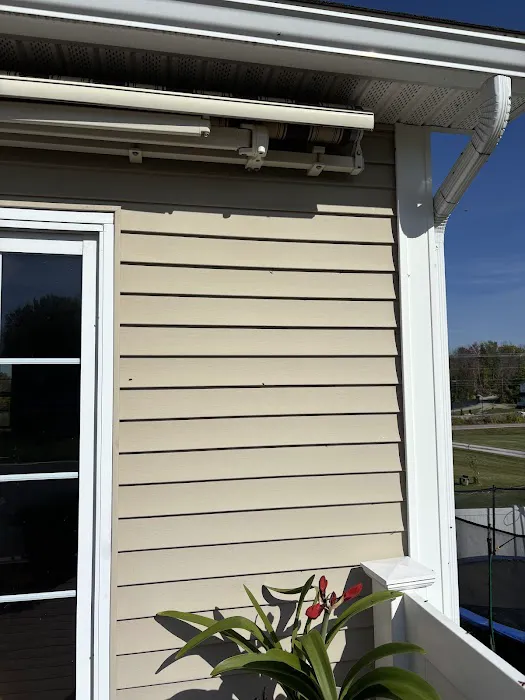 Fox Pest Control South Burlington Picture 7