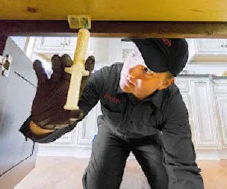 Ehrlich Pest Control