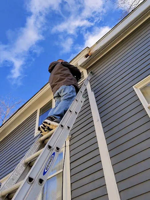 Apex Pest Solutions Picture 2