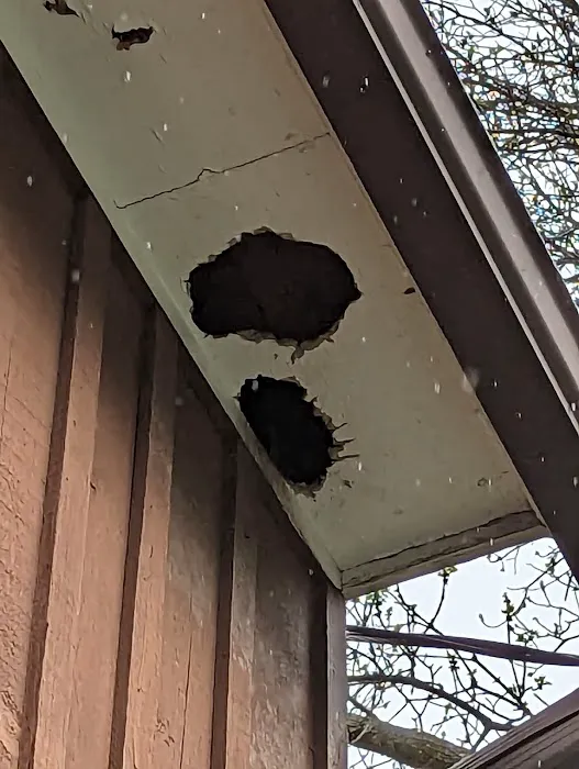 Apex Pest Solutions Picture 5