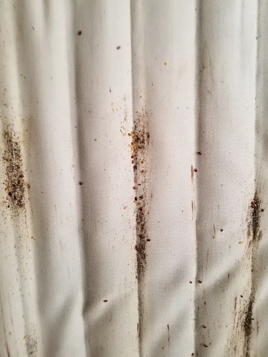 Brochu Pest Solutions Picture 9