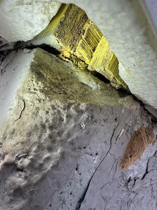 Brochu Pest Solutions Picture 3