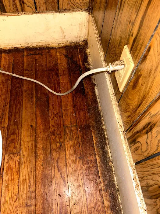 Cornerstone Pest Control LLC Picture 9