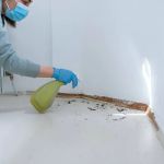 Cornerstone Pest Control LLC