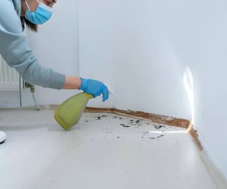 Cornerstone Pest Control LLC