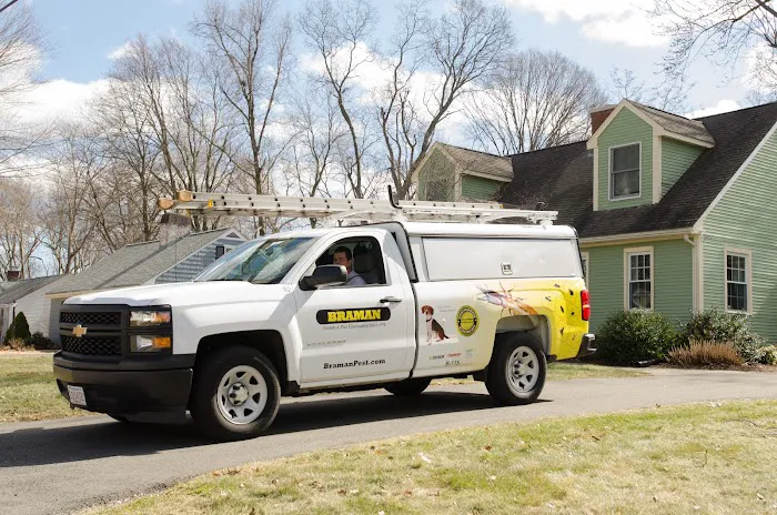 Braman Termite & Pest Elimination Picture 4