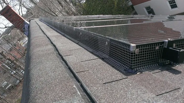 Critter Control of Greater Boston Picture 5