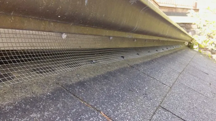 Critter Control of Greater Boston Picture 9