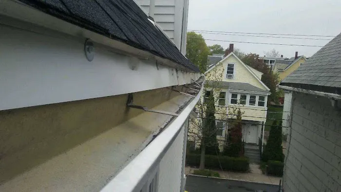 Critter Control of Greater Boston Picture 3