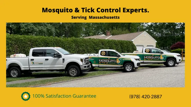Shawsheen Valley Mosquito & Tick Control Picture 3