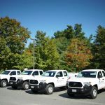 Modern Pest Services